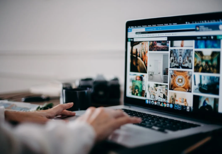 Website auditing